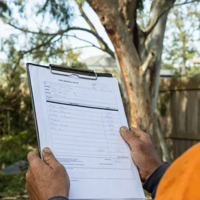 Reading a written tree removal quote on site in Sunshine Coast