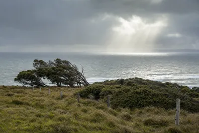 Cyclone and storm exposure, Sunshine Coast