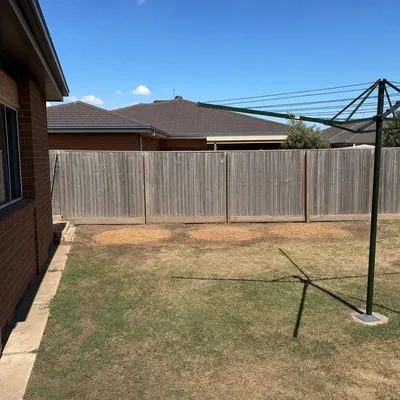 After: Old poinciana over a swimming pool, Sunshine Coast