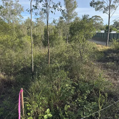 Before: Hinterland block clearing for a new build, Sunshine Coast
