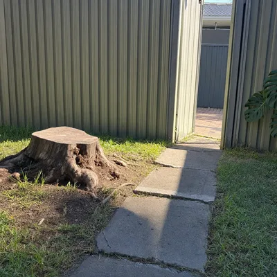 Before: Stump grind through a narrow hinterland side gate, Sunshine Coast