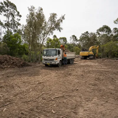 Land Clearing in Sunshine Coast, qualified arborists