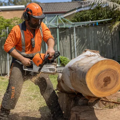Tree Removal services in Sunshine Coast by local qualified arborists
