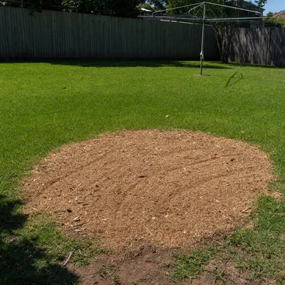Chips and mulch on site, Sunshine Coast