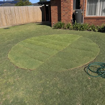 Stump ground 150–300mm below grade, Sunshine Coast